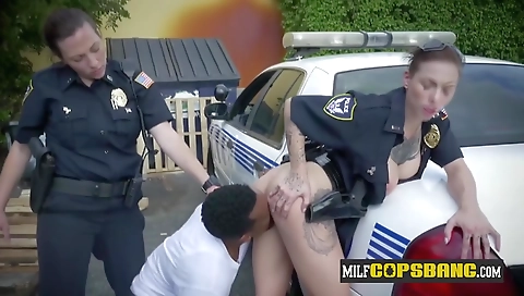 Make and ready for a ride